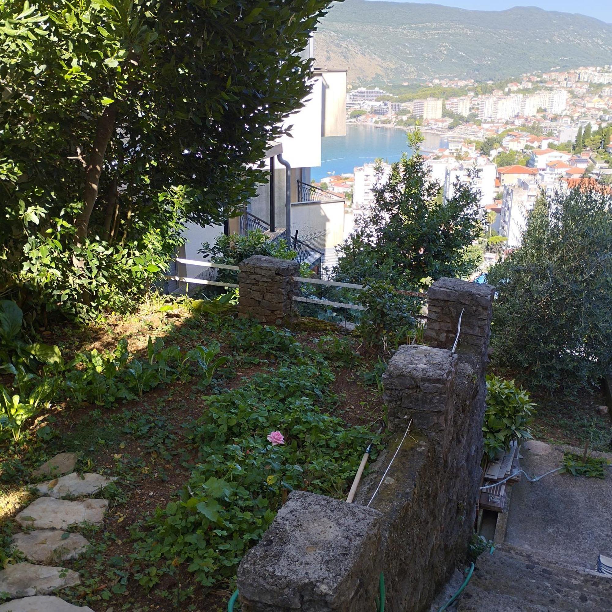 Apartmani Lovor Herceg Novi Room photo